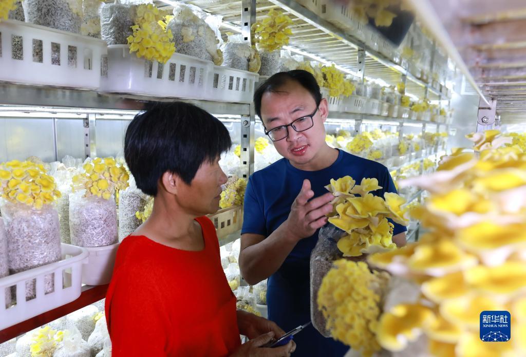 扎金花游戏厅